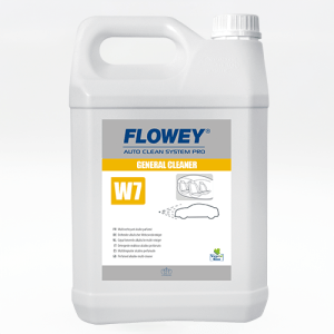 GENERAL CLEANER 25L (W725)
